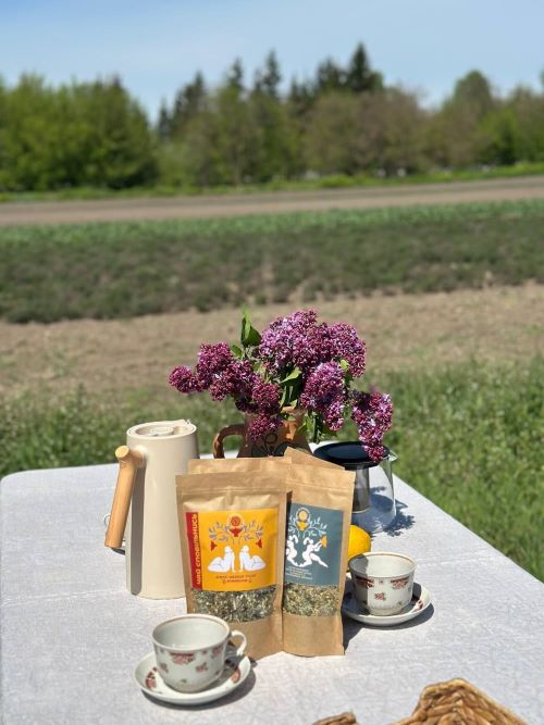 Чаї з органічних рослинок допоможуть налаштуватися на роботу у цьому метушливому світі