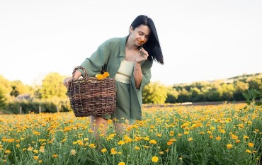 Как сделать бизнес на выращивании лекарственных трав