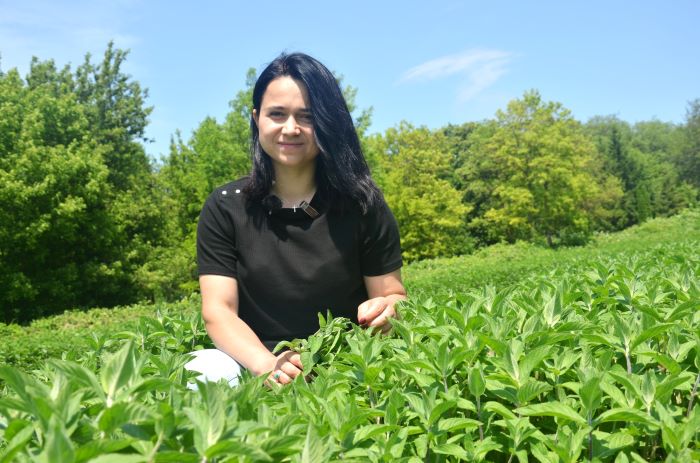 Яна Лінецька в морі м'яти на Черкащині