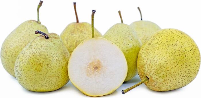 Азійська груша Шин-Лі