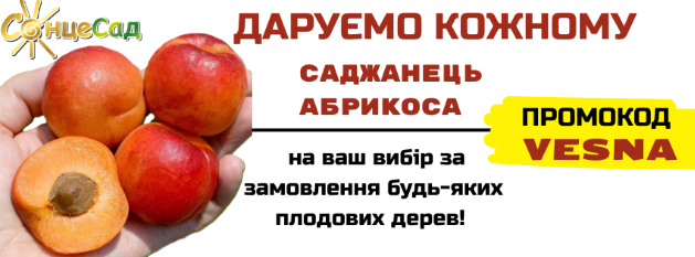 ДАРУЄМО КОЖНОМУ САДЖАНЕЦЬ АБРИКОСА