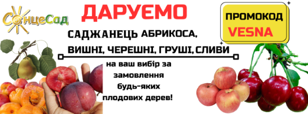 «CонцеСад» дарує саджанець різних плодових дерев кожному замовнику!