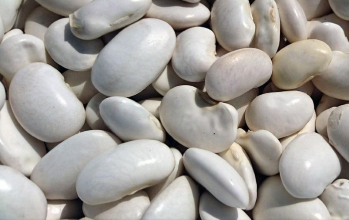 Квасоля Лімська біла&nbsp;