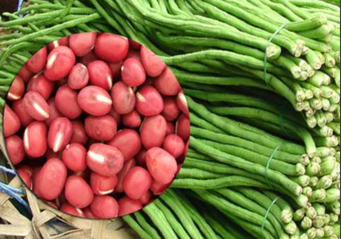 Вігна Метро Браун