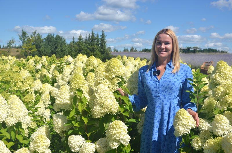Вікторія Рижкова у неймовірно пишних гортензіях