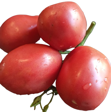 Томати сорту Велика солодка бавовна