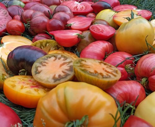 Кожен плід &mdash; результат любові та терпіння