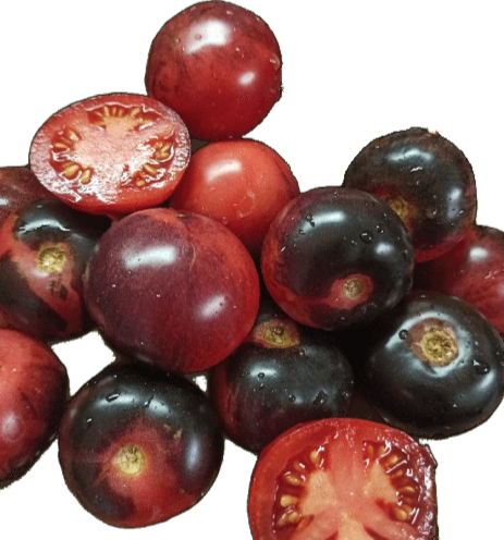 Томати сорту Повернення до Раю