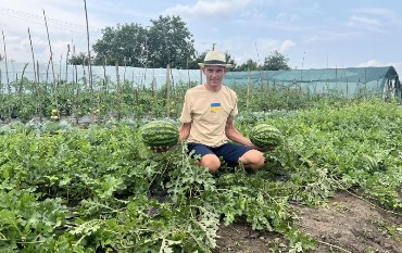 Кавуни зі Львівщини