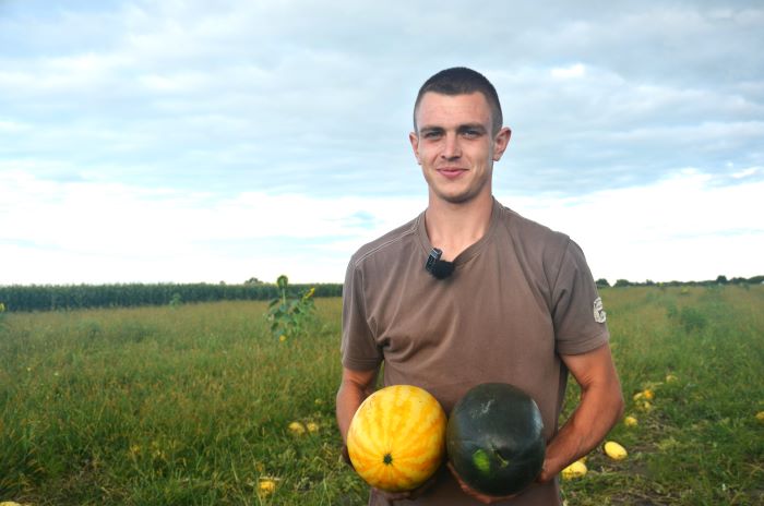 Євгеній Пухаєвич на Житомирщині вирощує кавуни сортів Жако і Шуга Єллоу