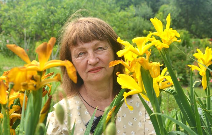 Іриси — наче метелики присіли відпочити на стеблах