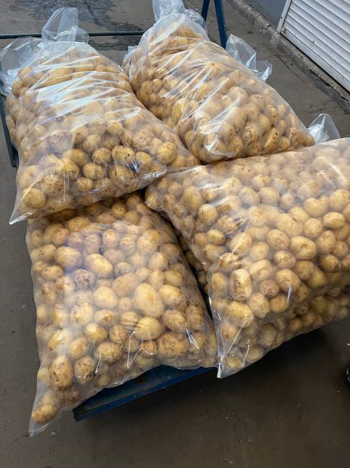 Ілля збирає картоплю на початку травня 