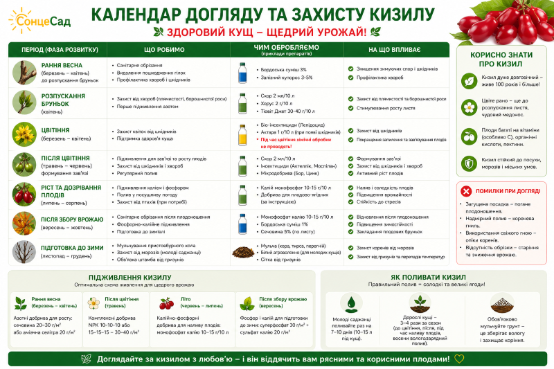 календарь ухода и защиты кизила