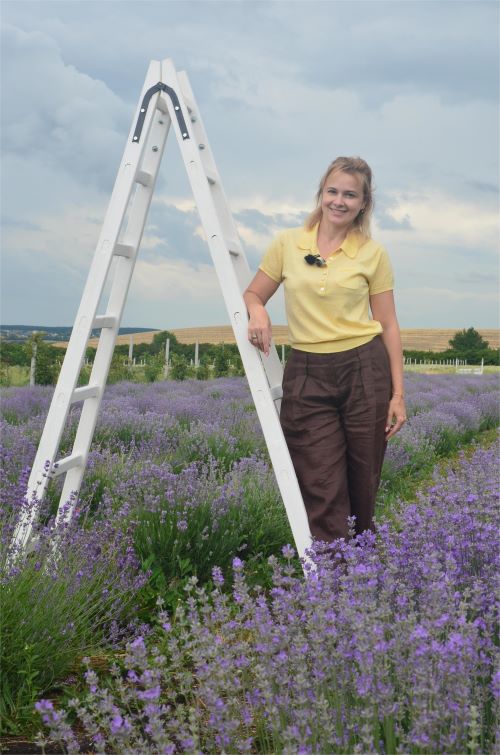 Лавандове поле для ідеї агротурізму