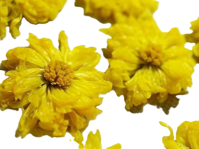 Заморожуємо хризантеми, щоб смакувати ними взимку