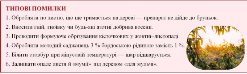 Типові помилки при обробці саджанців сливи