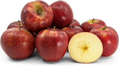 Ред джона принц &ndash; промисловий зимовий сорт яблуні