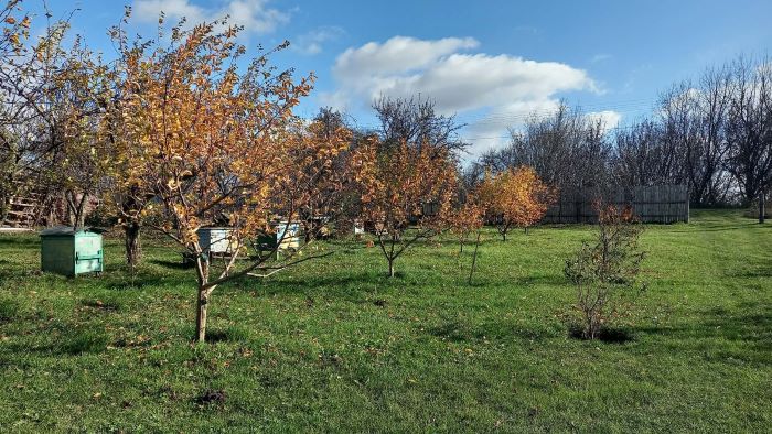 1.5 гектара праці, що приносить солодкі плоди