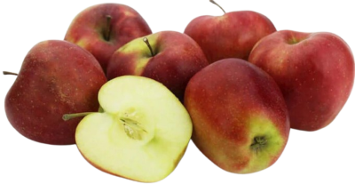 сорт яблуні Глостер