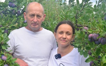 Лучшие сорта плодовых в случае заморозков