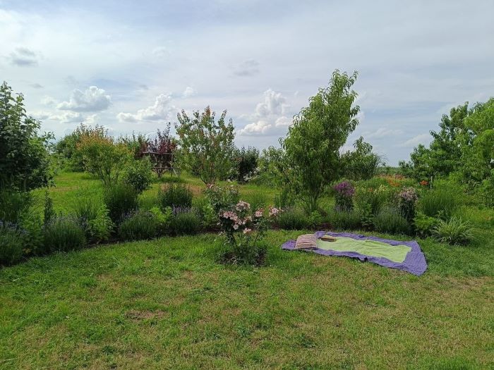 Подружжя Терентюків перетворило Житомирщину на квітучий рай