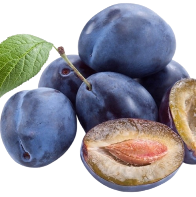 слива стенлей