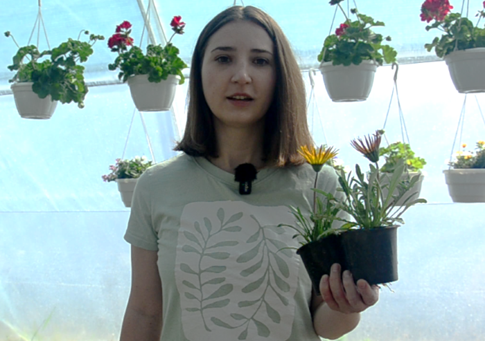 Валентина тримає у руках газанію