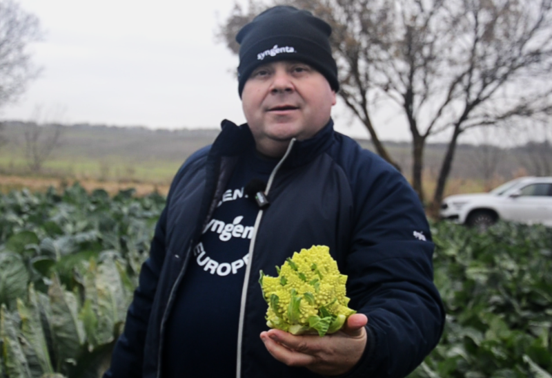 Вадим Бобруйко тримає зірку поля - капусту Романеско 