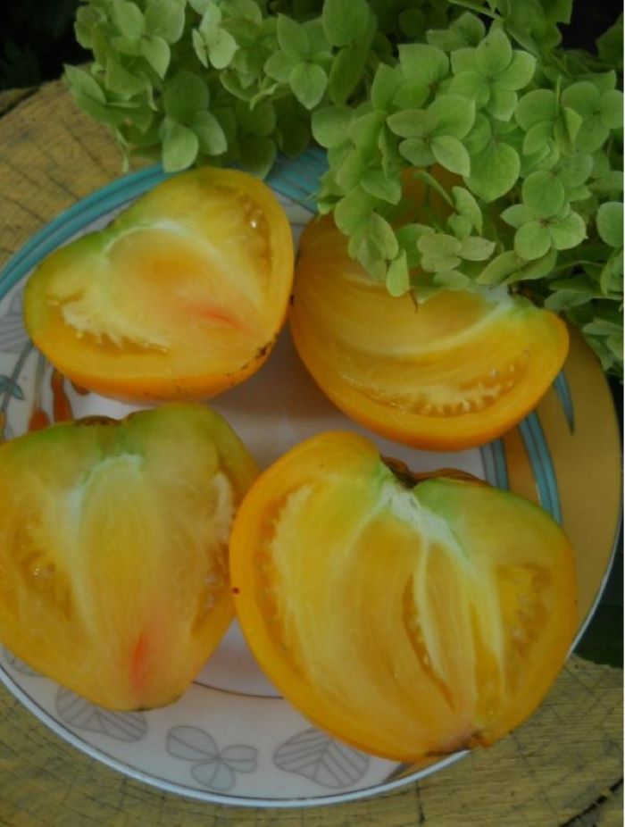Томат Золотые купола