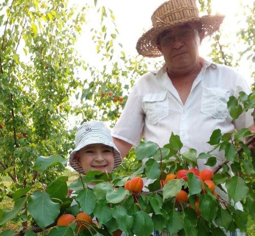 Віктор Ніколаїшен