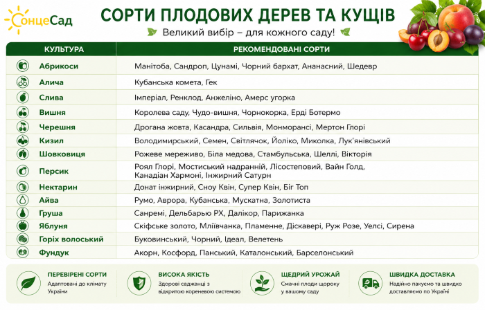 Популярные сорта плодовых деревьев и кустов