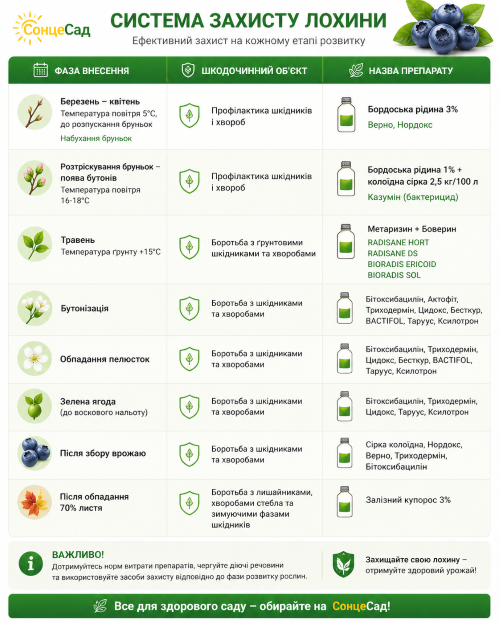 Система захисту лохини