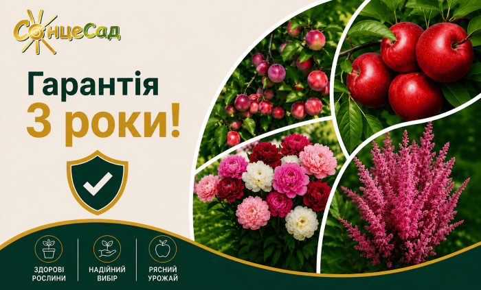 Саджанці в СонцеСаді мають гарантію 3 роки