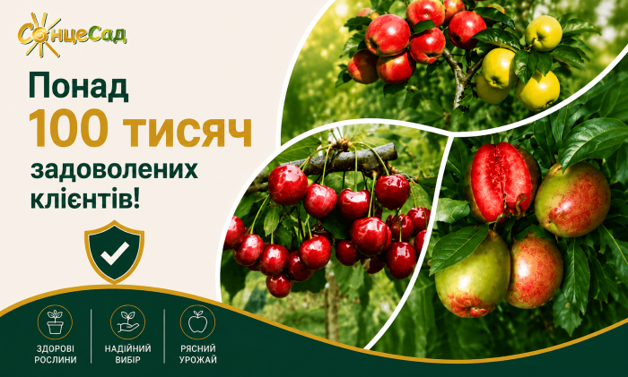 Якісні саджанці для вашого саду