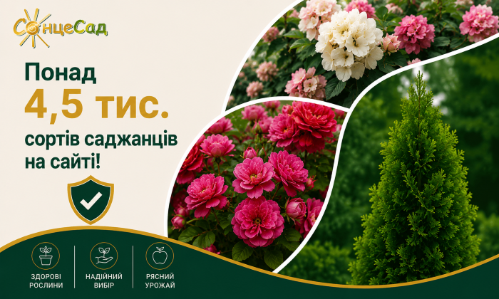 Широкий вибір рослин в СонцеСаді