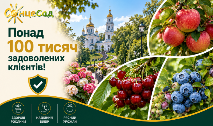 Качественные саженцы и семена в интернет-магазине СонцеСад