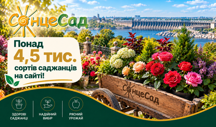 СонцеСад - более 4,5 тысяч сортов саженцев плодовых и декоративных растений с доставкой в ​​Запорожье и область