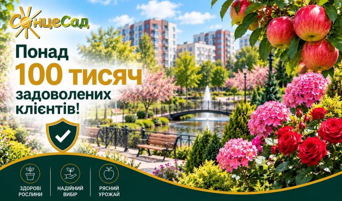 &laquo;СонцеСад&raquo; в Боярке &ndash; проверенное качество саженцев и доверие более 100 тысяч клиентов!