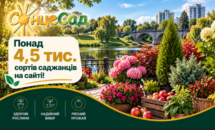 СонцеСад &ndash; выбор в ассортименте саженцев плодовых деревьев, ягодных кустов, овощей и цветов для огородников из Ровного