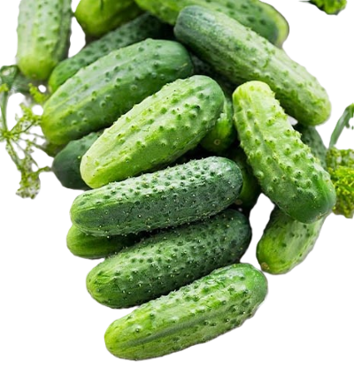 Огірки Вісконсин для консервування