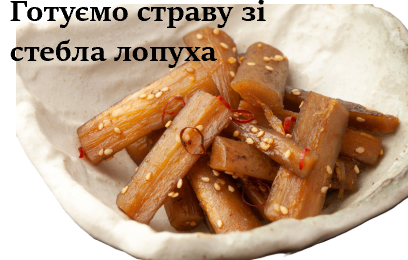 Готуємо страву зі стебла лопуха