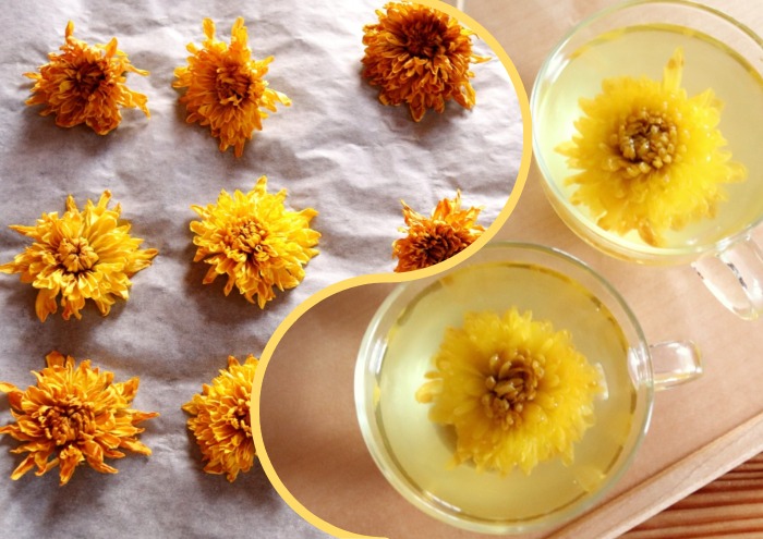 Засушіть квіти, щоб насолоджуватися взимку напоями