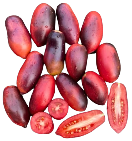 Томат Сливка Гурман (колекційний)