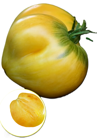 Томат Динний Лікер