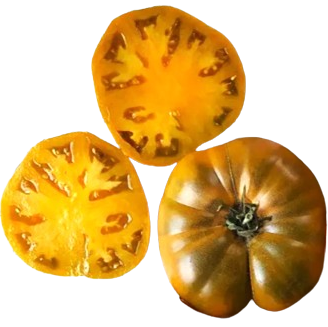 Томат Гном Улуру Охра