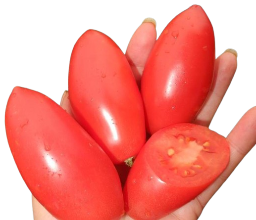 ось який розмір у томатів Варвара рожева