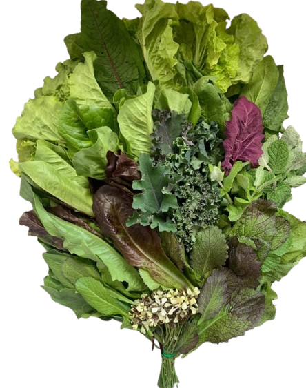 різні види салату