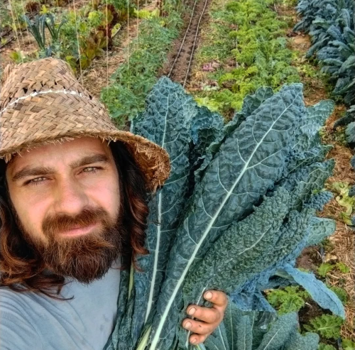 Роман із кейлом  Неро ді Тоскана