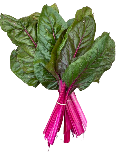 Мангольд Пурпуровий захід