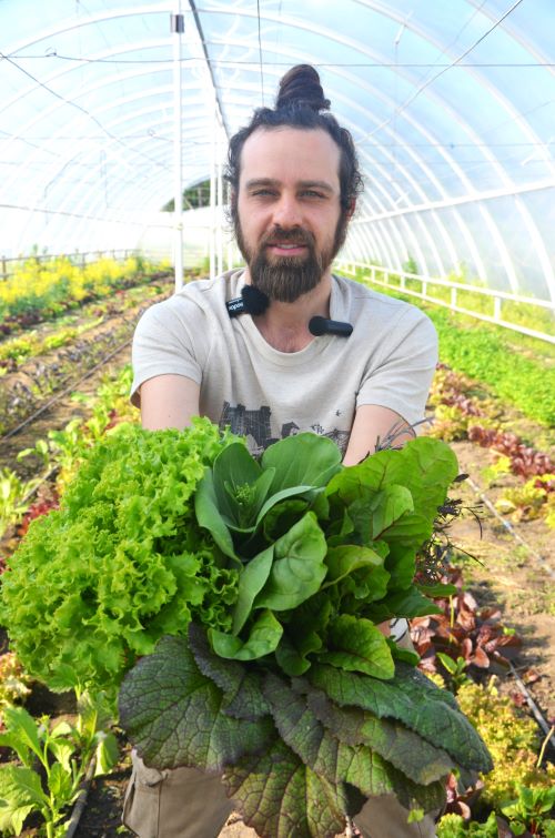 Роман збирає щодня великий урожай зелені